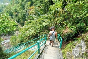 Sapa: Dagsutflykt med bil till vattenfall, teodling och grottor