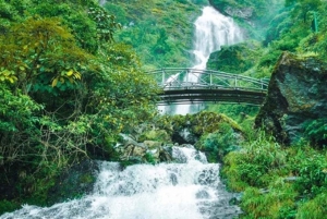 Sapa: Waterfalls, Tea Farm, and Cave Full-Day Tour by Car
