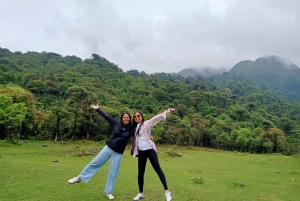 Sapa: Waterfalls, Tea Farm, and Cave Full-Day Tour by Car