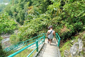 Sapa: Waterfalls, Tea Farm, and Cave Full-Day Tour by Car