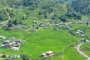 Sapa: Y Linh Ho – Lao Chai og Ta Van trekking dagstur