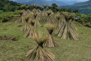 Sapa: Y Linh Ho – Lao Chai og Ta Van trekking dagstur