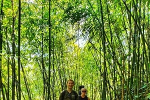 Sapa: Y Linh Ho – Lao Chai og Ta Van trekking dagstur