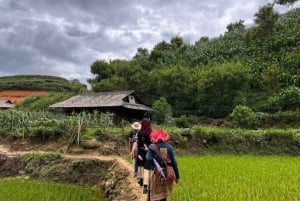 Sapa: Y Linh Ho – Lao Chai og Ta Van trekking dagstur