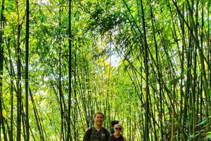 Sapa: tour de 1 día a las aldeas de Y Linh Ho, Lao Chai y Ta Van