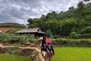 Sapa: tour de 1 día a las aldeas de Y Linh Ho, Lao Chai y Ta Van