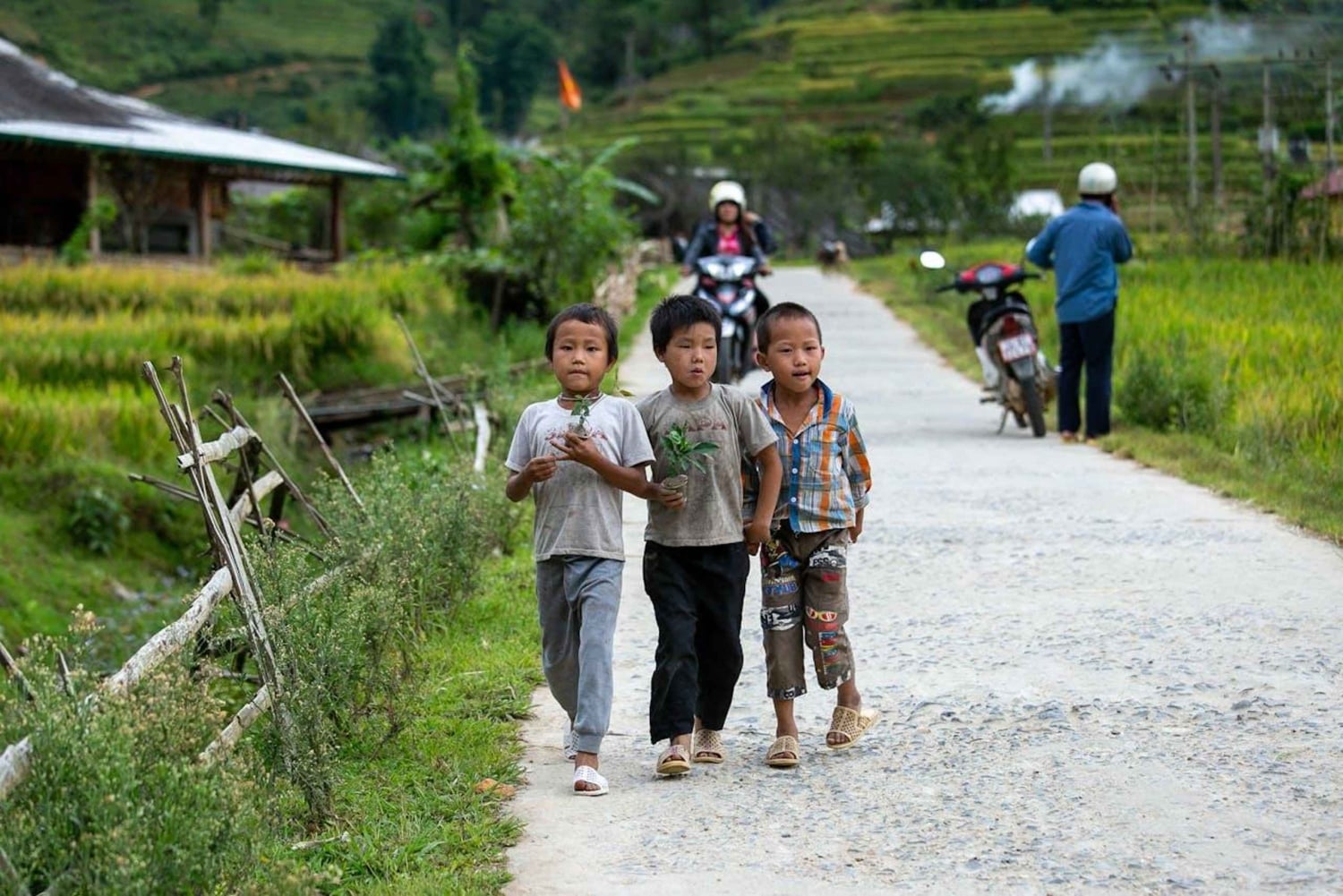 Sapa: Y Linh Ho, Muong Hoa Valley Trek & Village Experience