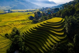 Sapa: Y Linh Ho, Muong Hoa Valley Trek & Village Experience