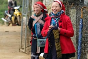 Sapa: Y Linh Ho, Muong Hoa Valley Trek & Village Experience