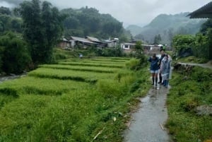 Sapa: Y Linh Ho, Muong Hoa Valley Trek & Village Experience