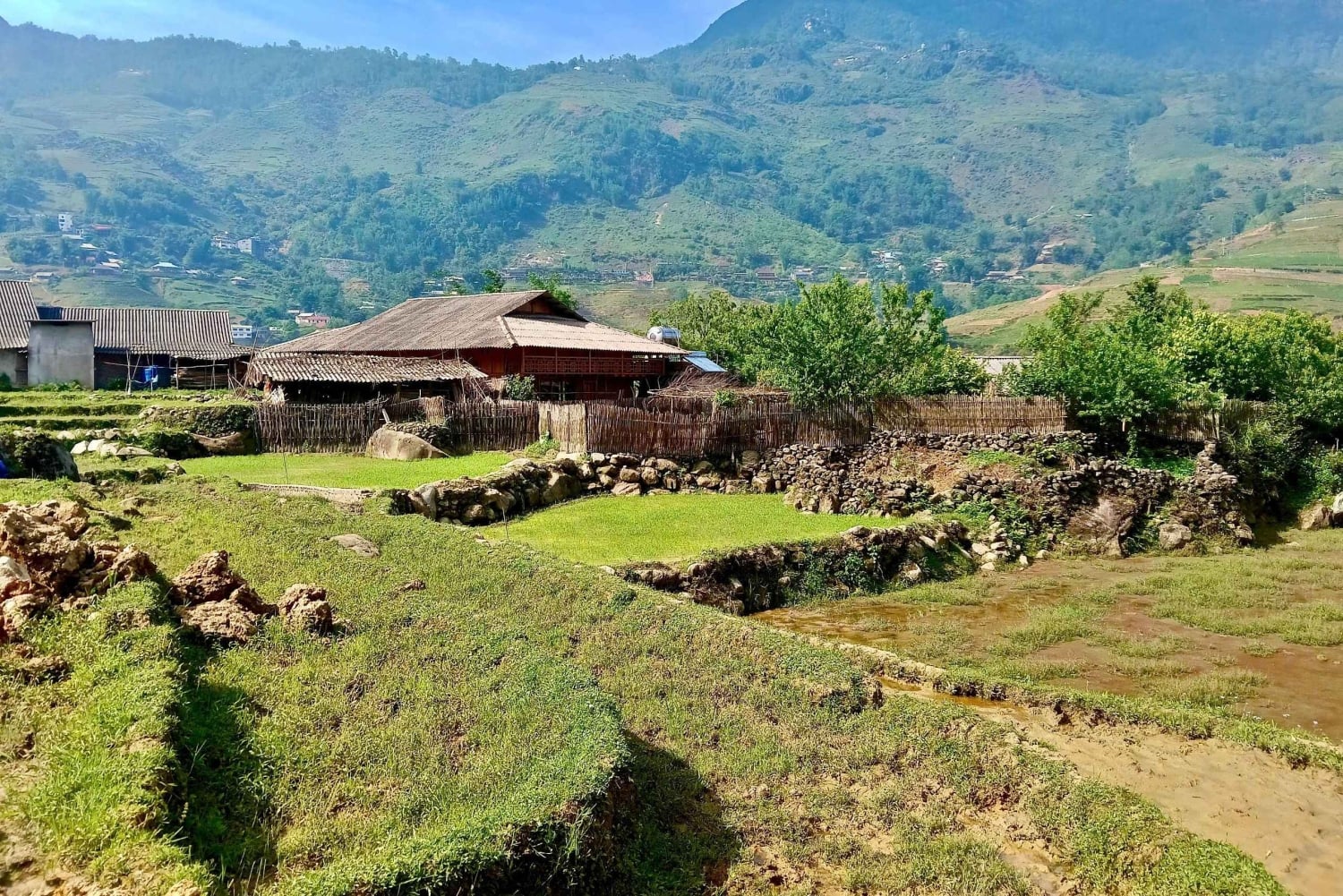 Sapa: Trekking da Y Linh Ho a Ta Van con terrazze di riso e H'Mong