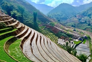 Sapa: Y Linh Ho til Ta Van Trek med risterrasser og H'Mong