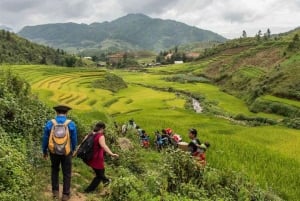 Sapa: Trekking da Y Linh Ho a Ta Van con terrazze di riso e H'Mong