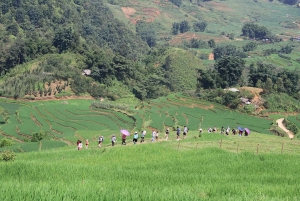 Sapa: Trekking da Y Linh Ho a Ta Van con terrazze di riso e H'Mong