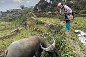 Sapa3D2N TrekkingAdventures,Valleys,Bambooforest,Waterfall