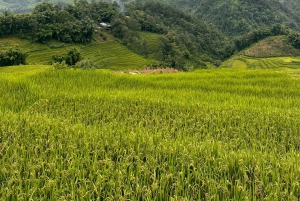 Sapa3D2N TrekkingAdventures,Valleys,Bambooforest,Waterfall