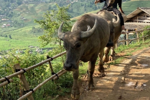 Sapa3D2N TrekkingAdventures,Valleys,Bambooforest,Waterfall