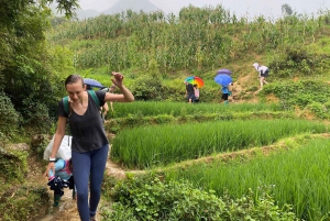 Sapa3D2N TrekkingAdventures,Valleys,Bambooforest,Waterfall