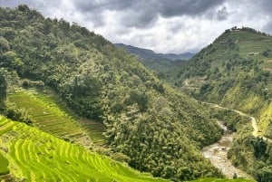 Sapa3D2N TrekkingEventyr,Dale,Bambusskov,Vandfald