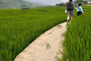 Sapa3D2N TrekkingEventyr,Dale,Bambusskov,Vandfald