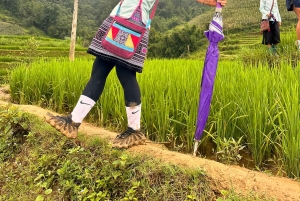 Sapa3D2N TrekkingEventyr,Dale,Bambusskov,Vandfald