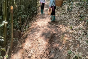 Sapa3D2N TrekkingEventyr,Dale,Bambusskov,Vandfald