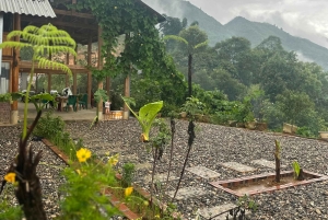 Sapa3D2N TrekkingEventyr,Dale,Bambusskov,Vandfald