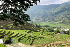 Sapa3D2N TrekkingEventyr,Dale,Bambusskov,Vandfald