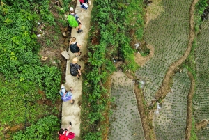 Sapa3D2N TrekkingEventyr,Dale,Bambusskov,Vandfald