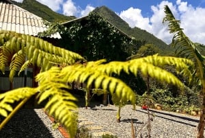 Sapa3D2N TrekkingEventyr,Dale,Bambusskov,Vandfald