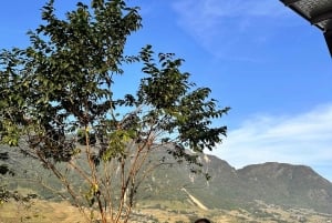 Sapa3D2N TrekkingEventyr,Dale,Bambusskov,Vandfald