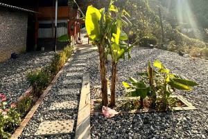 Sapa3D2N TrekkingEventyr,Dale,Bambusskov,Vandfald