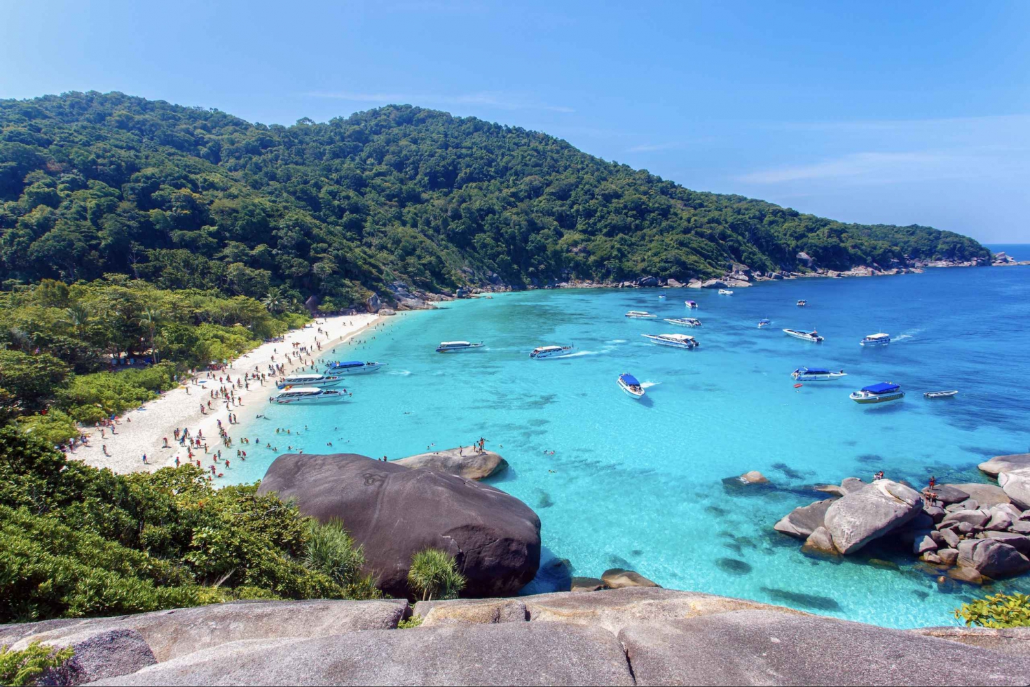 Scuba dive in Madonna Rock, Nha Trang