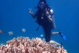 Scuba Diving for Beginners with Certified Diving Centre