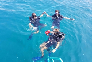 Scuba Diving: In the South