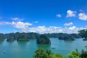 Crociera con il polpo marino - Tour di lusso di un giorno per esplorare la Baia di Halong