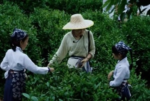 Shanghai : visite guidée de 8 jours avec hébergement
