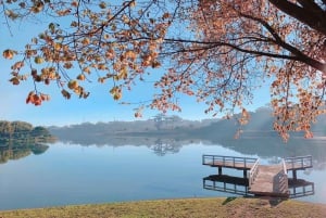 CABIN-BUSSI, MAKUUBUSSI & YKSITYISAUTO DALAT – HO CHI MINH