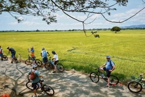 Landausflug mit dem Fahrrad vom Hafen Phu My