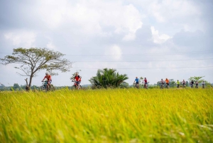 Landausflug mit dem Fahrrad vom Hafen Phu My