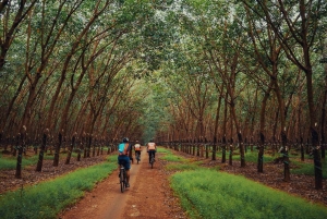Landausflug mit dem Fahrrad vom Hafen Phu My