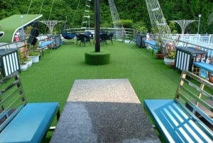 Halong Bay: Day Cruise from Halong Port Shore Excursion