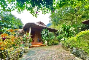 3D2N package (overnight cruise & 1 night in Ninh Binh)