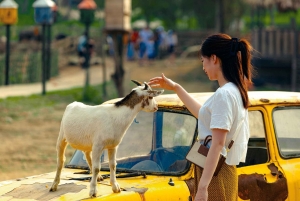 Special Private Hanoi: Rainbow Slide, Animals & Train Street