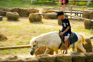 Special Private Hanoi: Rainbow Slide, Animals & Train Street