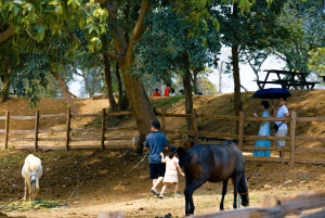 Special Private Hanoi: Rainbow Slide, Animals & Train Street