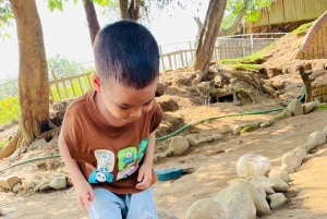 Special Private Hanoi: Rainbow Slide, Animals & Train Street