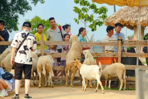 Special Private Hanoi: Rainbow Slide, Animals & Train Street