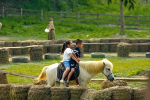 Special Private Hanoi: Rainbow Slide, Animals & Train Street