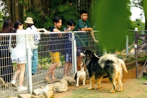 Special Private Hanoi: Rainbow Slide, Animals & Train Street